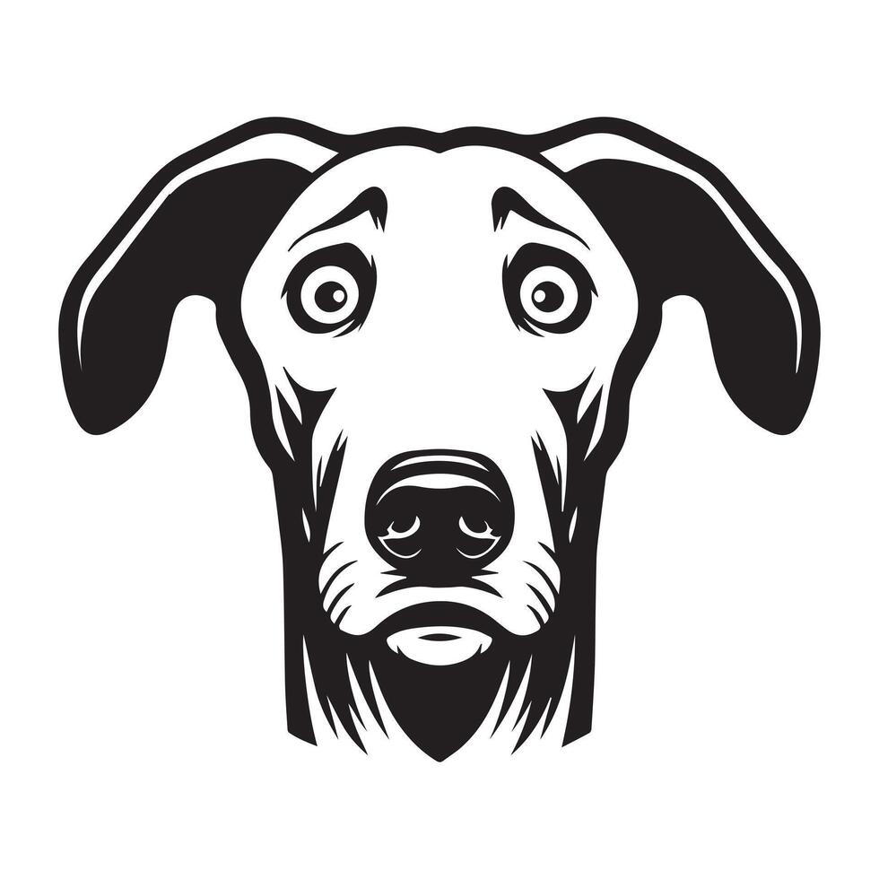 Fearful Ibizan Hound dog Illustration in black and white vector