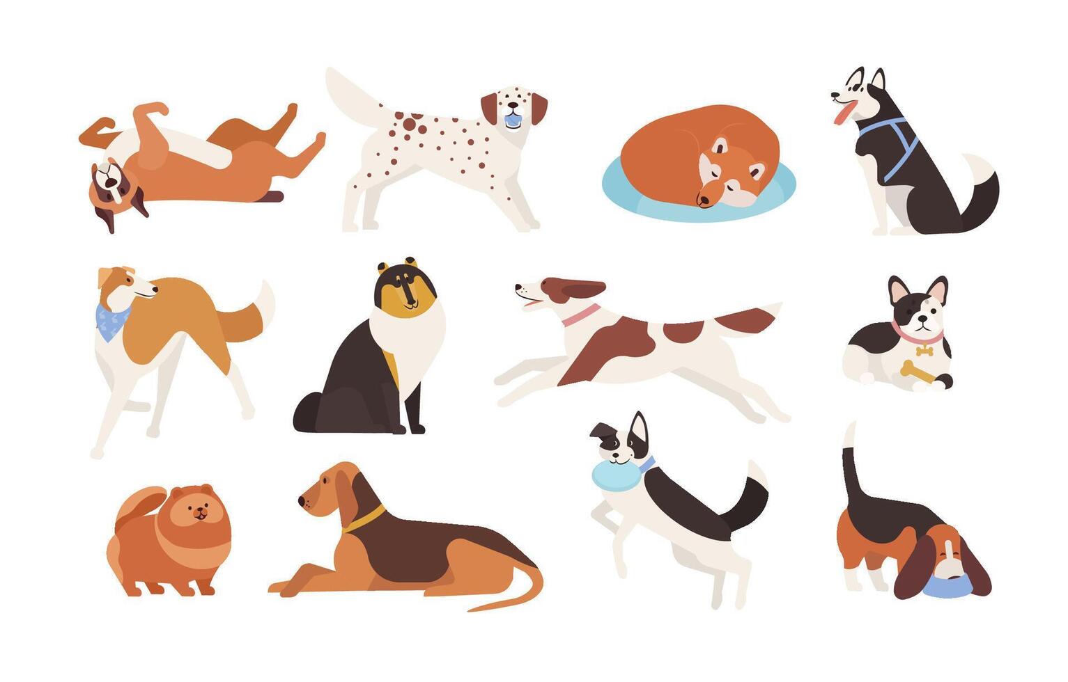 Collection of funny dogs of various breeds playing, sleeping, lying, sitting. Set of cute and amusing cartoon pet animals isolated on white background. Colorful illustration in flat style. vector