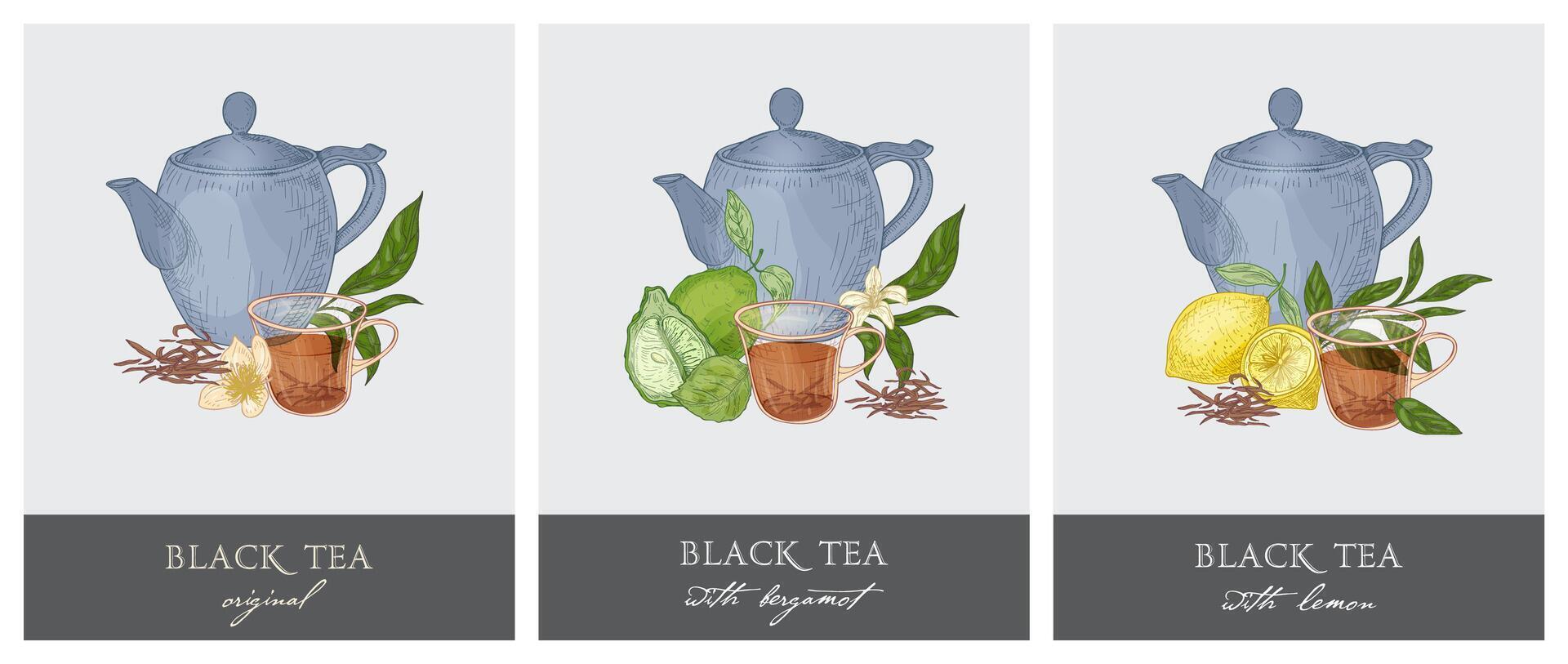 Bundle of elegant labels with teapot, glass cup, black tea leaves, flowers, bergamot fruit and lemon. Hand drawn collection of aromatic beverages. Colorful illustration in retro style. vector