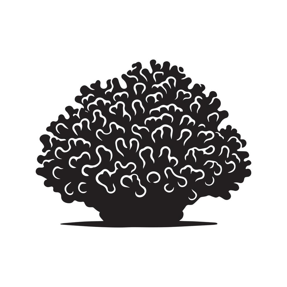 a Stony Coral illustration in black and white vector