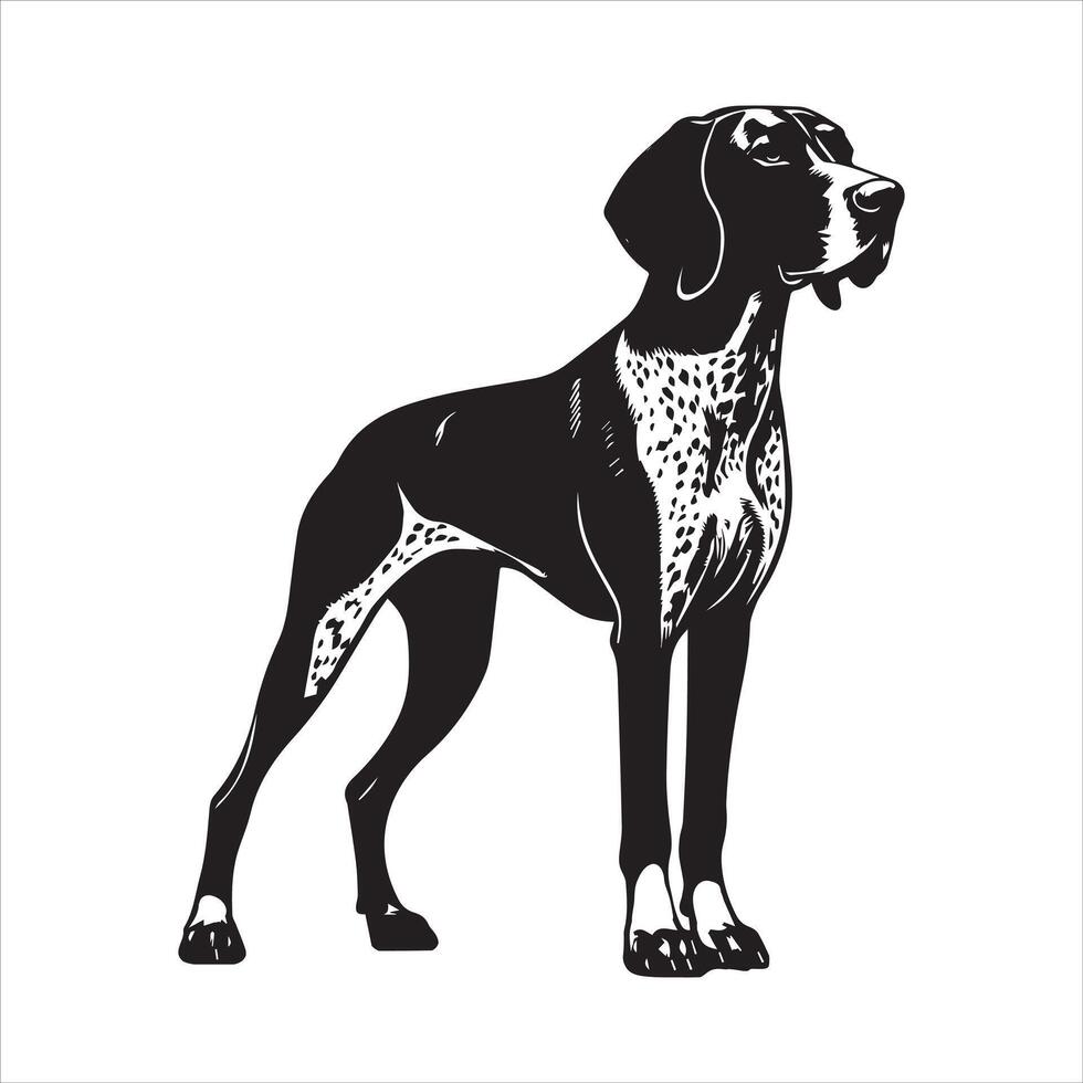 Dignified German Shorthaired Pointer dog Illustration in black and white vector