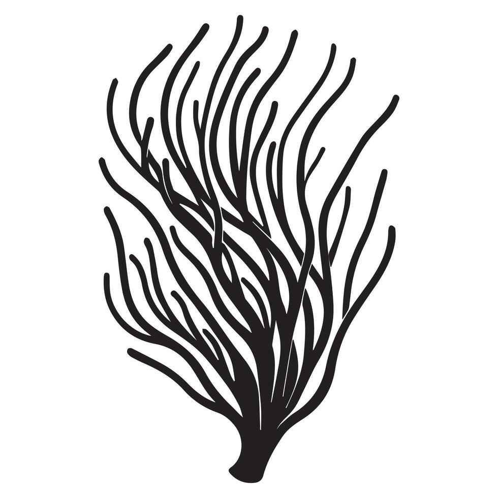illustration of a Whip Coral silhouette vector