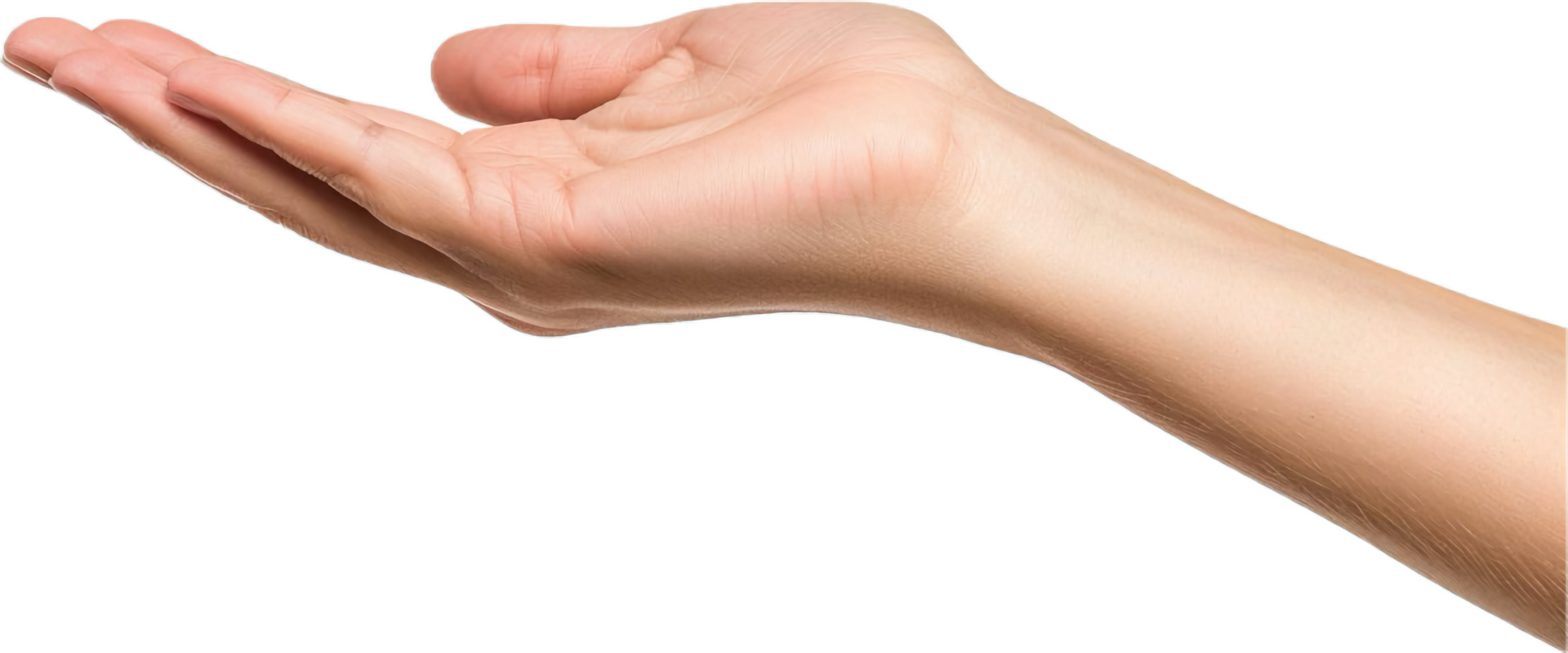 Outstretched hand palm up. png
