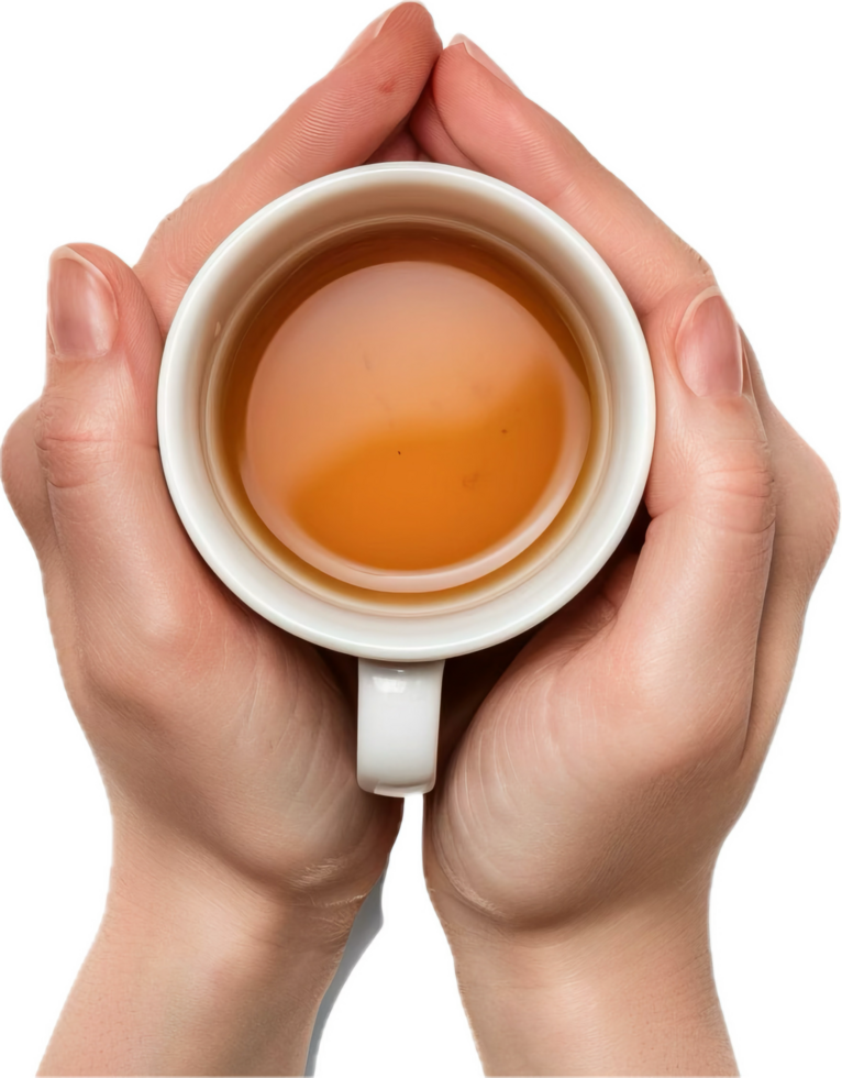 Hands Holding White Coffee Cup. png