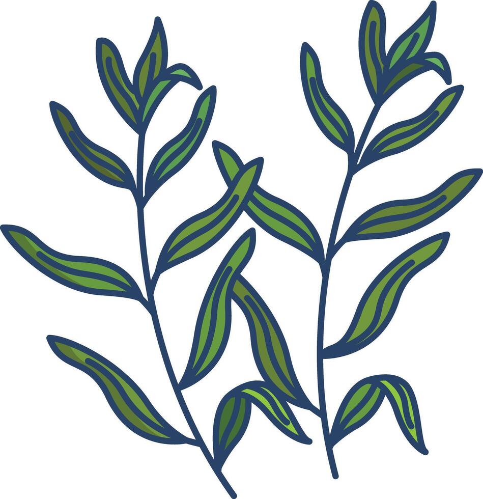 Tarragon linear color illustration vector