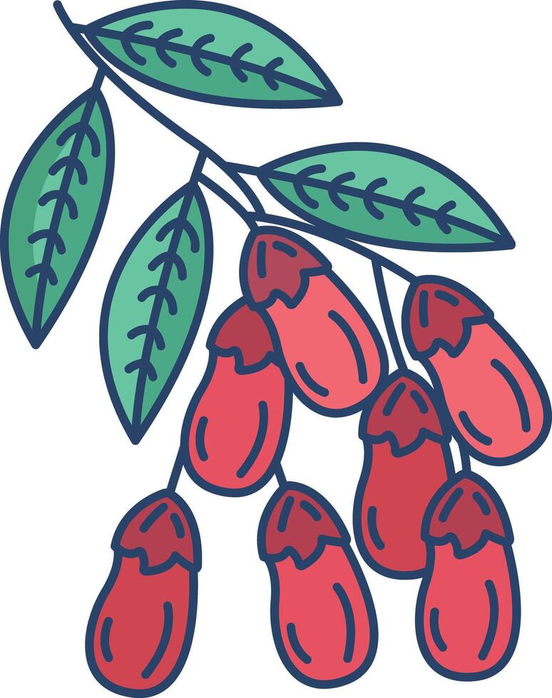 Barberry leaf linear color illustration vector