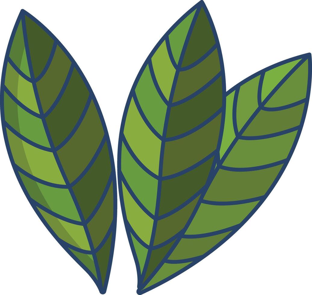 Bay Leaf linear color illustration vector
