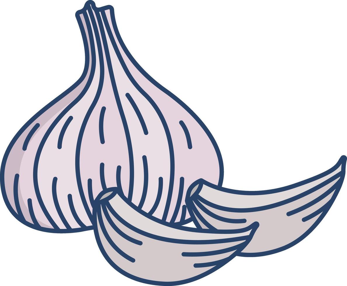 Garlic linear color illustration vector