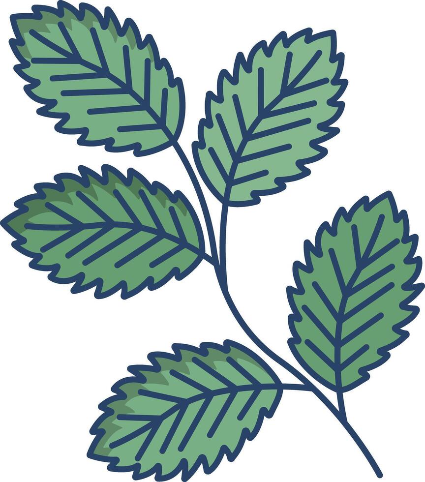 Mint leaf linear color illustration vector