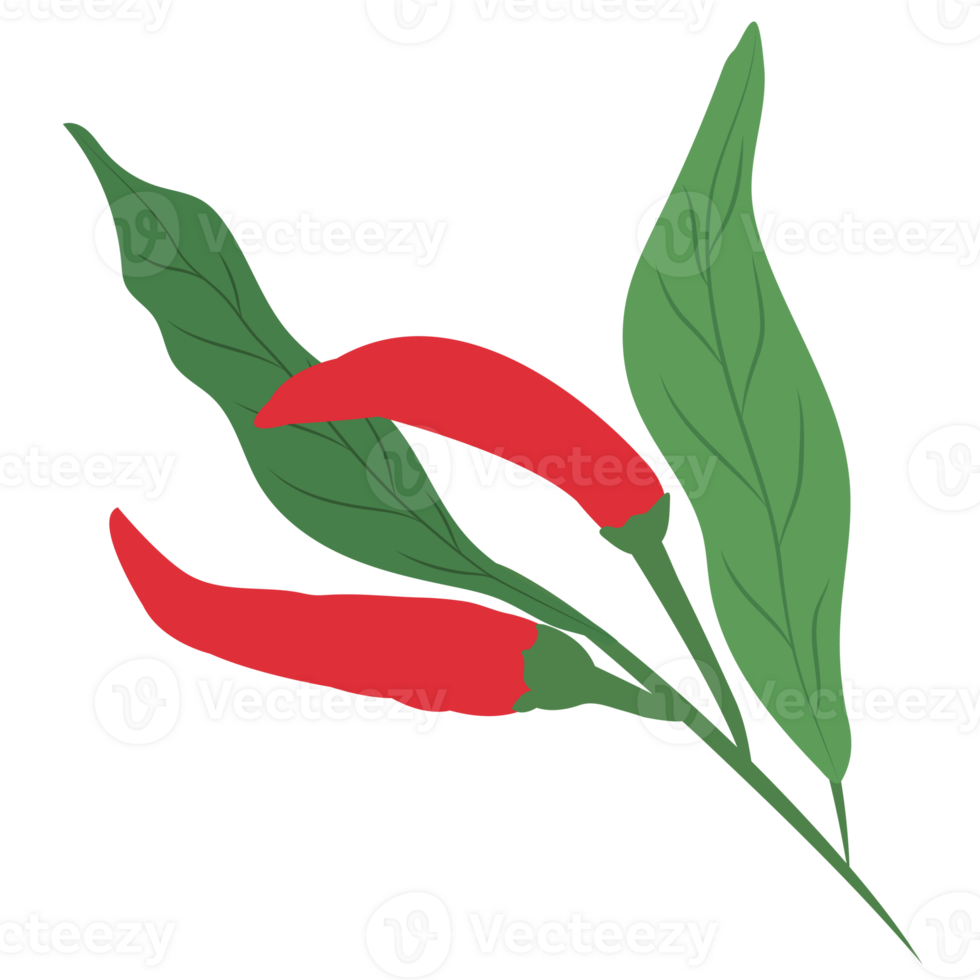 chili or spice plant element isolated on background png