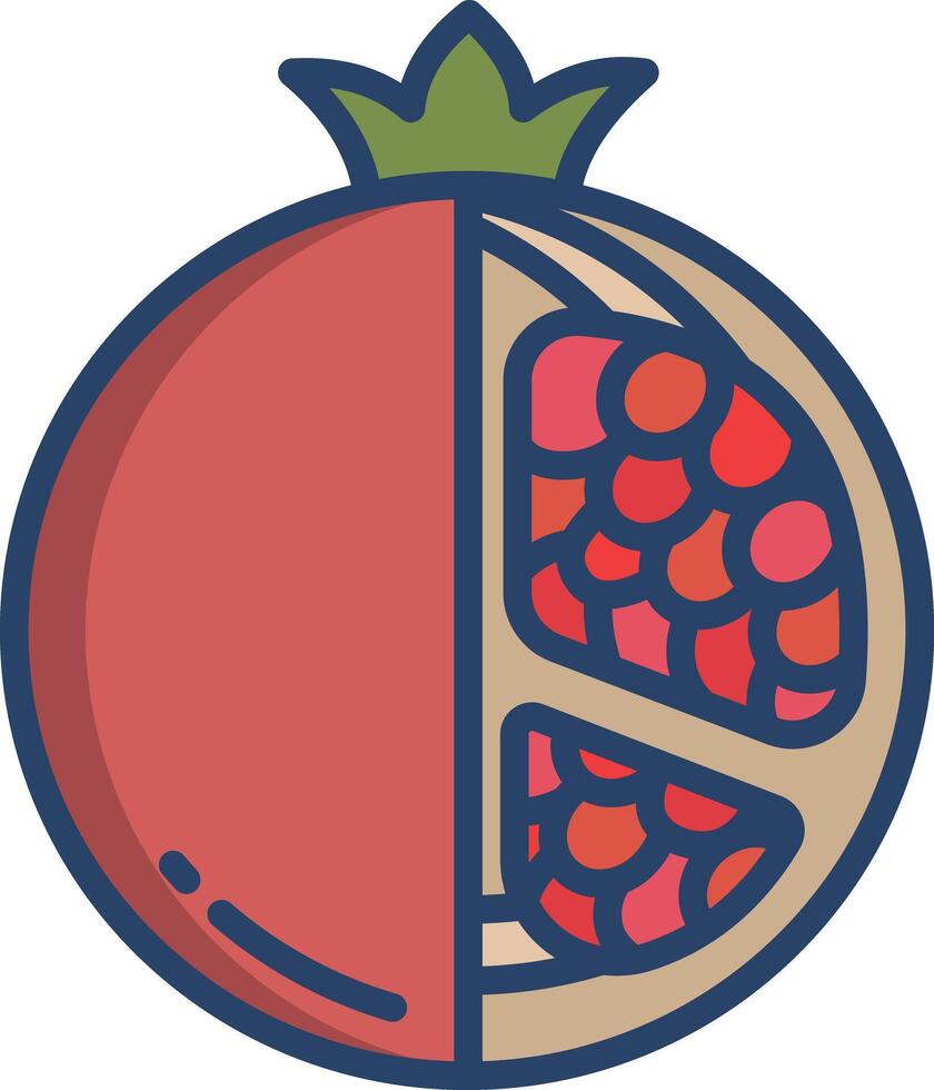 pomegranate slice linear color illustration vector