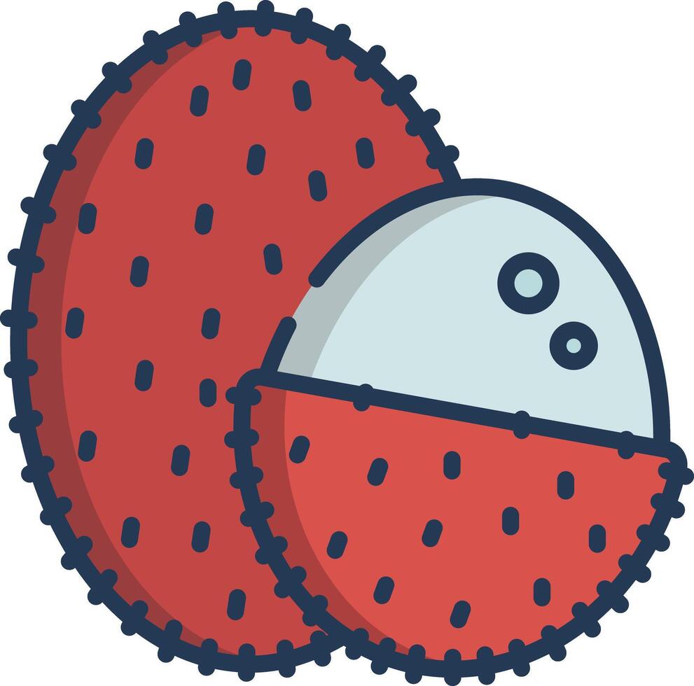 Lychee slice linear color illustration vector