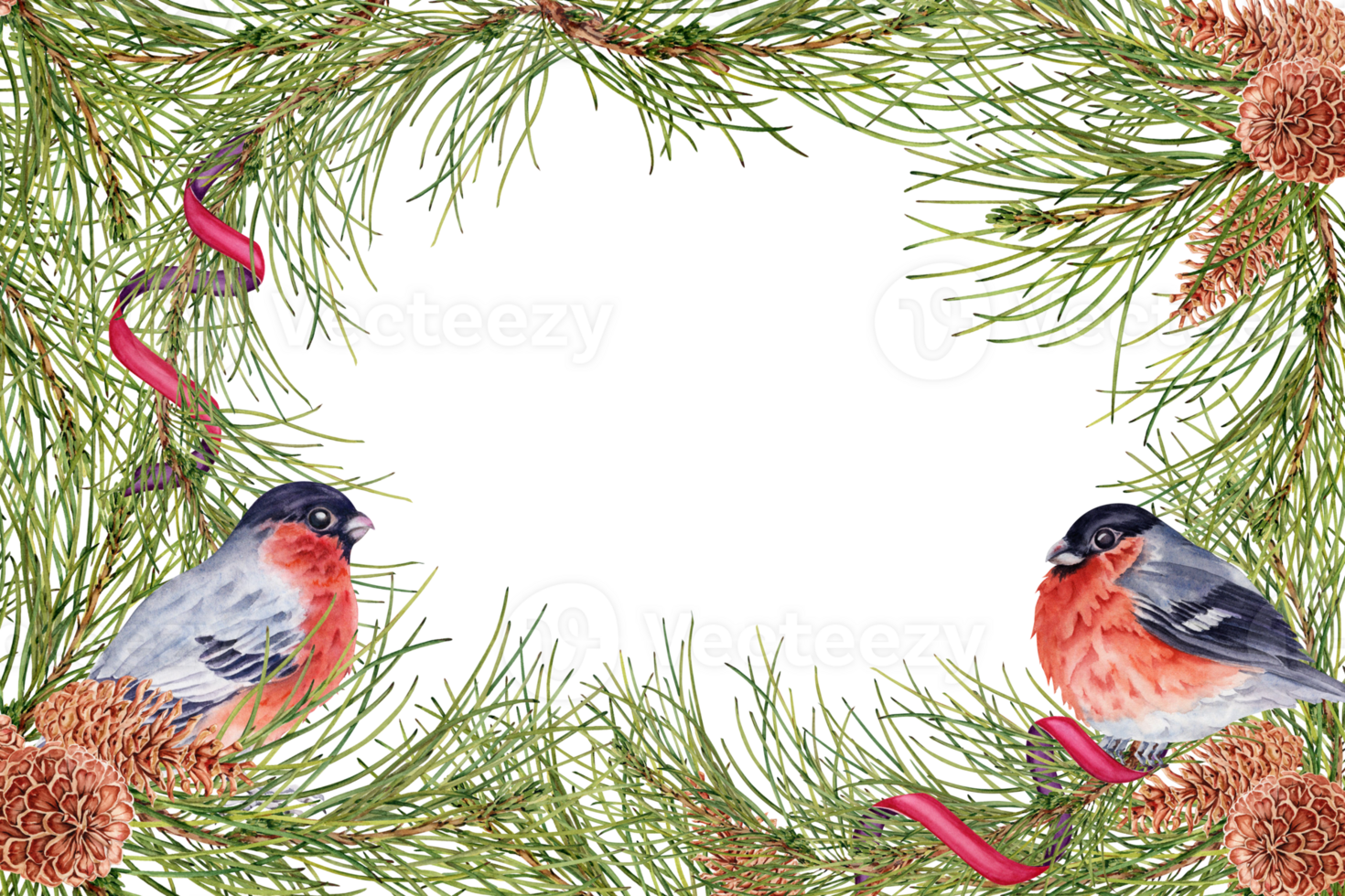 Christmas card with hand drawn pine branches and cones, ribbon decorations and finch birds. Watercolor illustration isolated on transparent background. Copy space winter holidays invitation design png