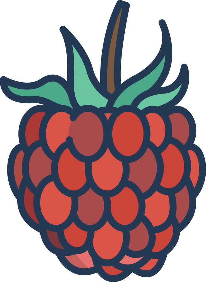 Raspberry cut linear color illustration vector