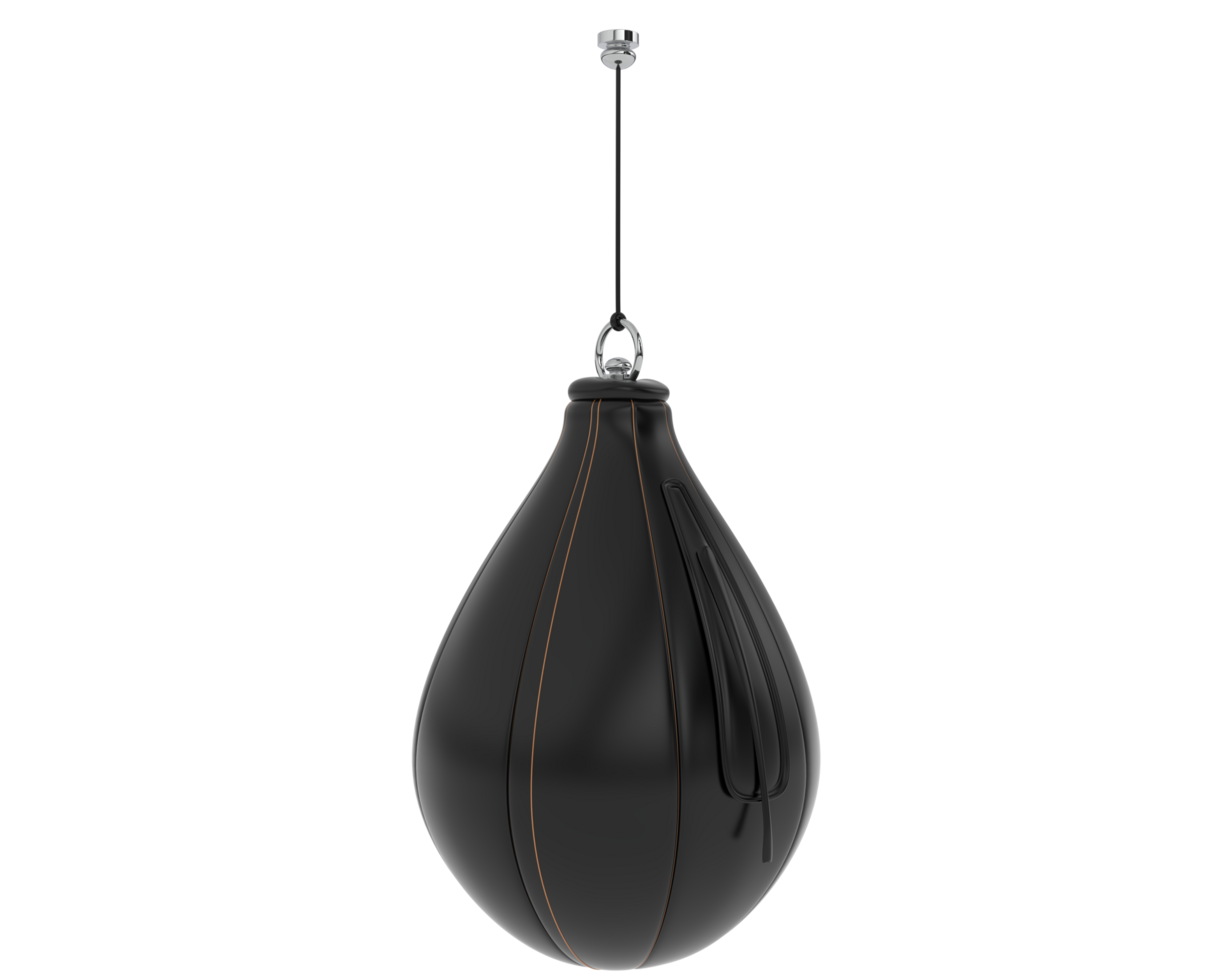 Punching bag isolated on background. 3d rendering - illustration png