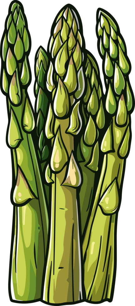 Asparagus clipart design illustration png