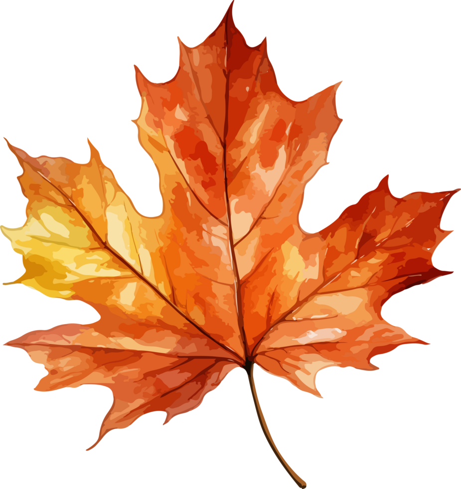 Autumn leaf clipart design illustration png