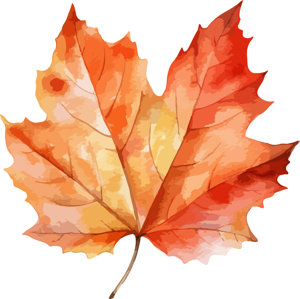 Autumn leaf clipart design illustration png