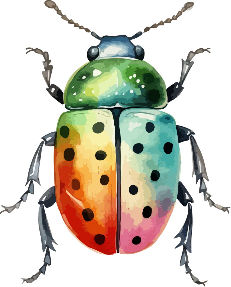 Beetle clipart design illustration png