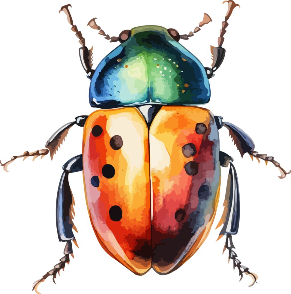 Beetle clipart design illustration png