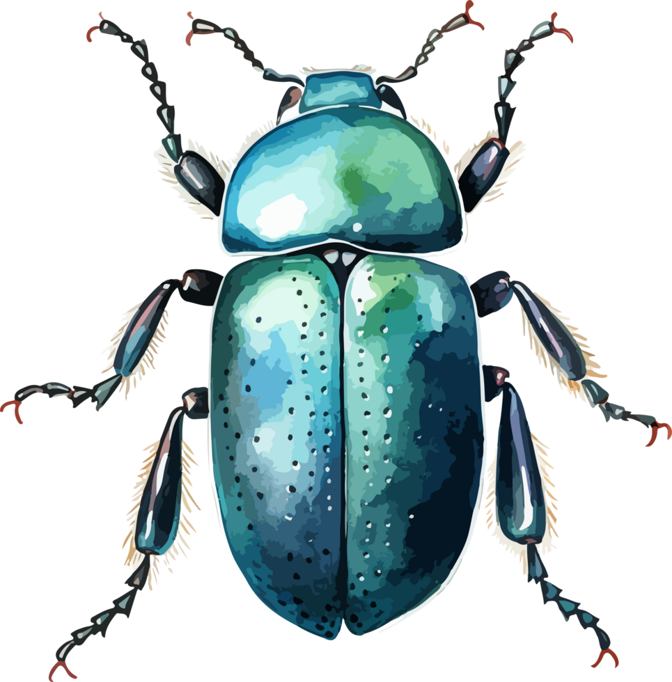 Beetle clipart design illustration png