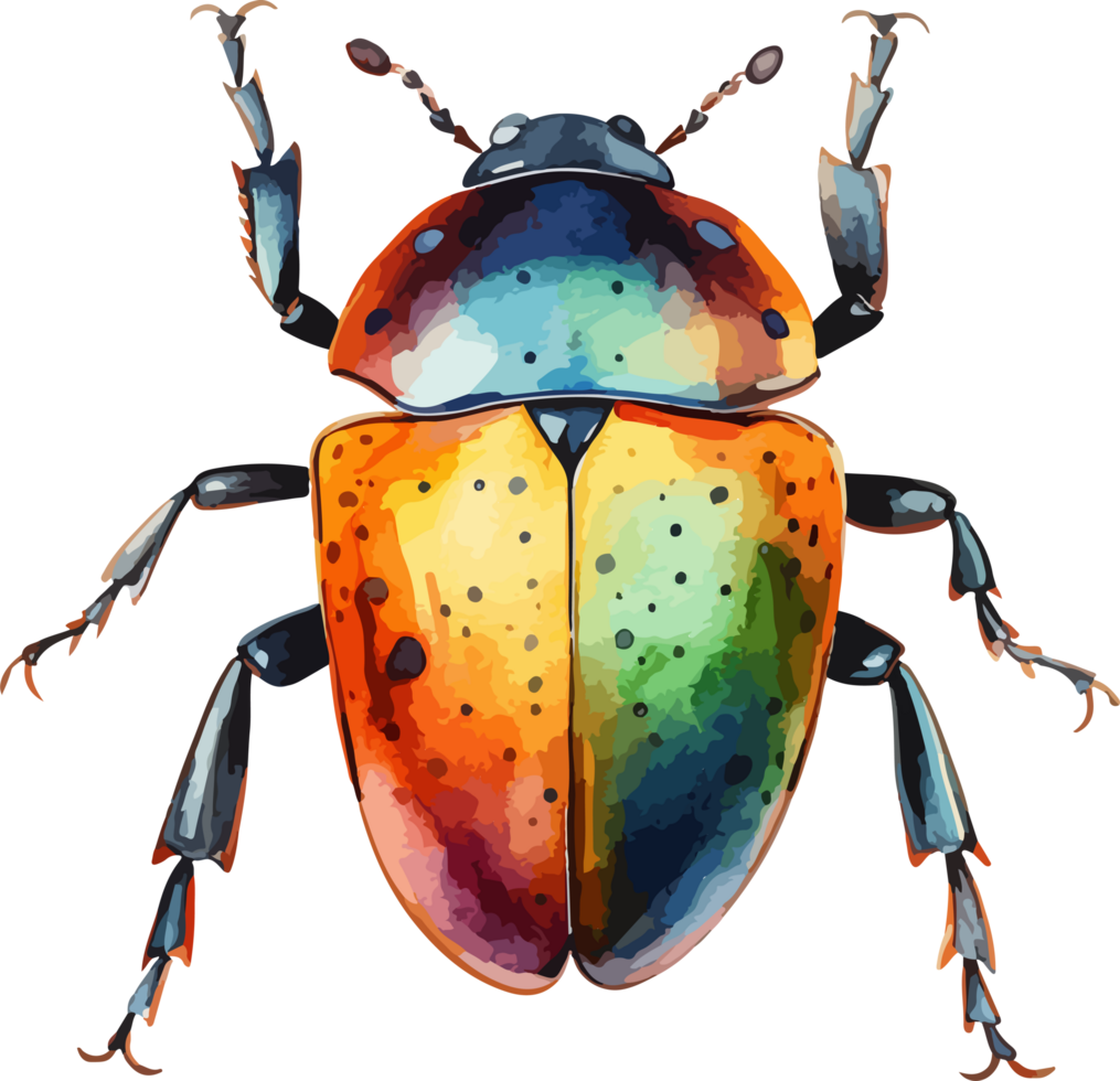 Beetle clipart design illustration png