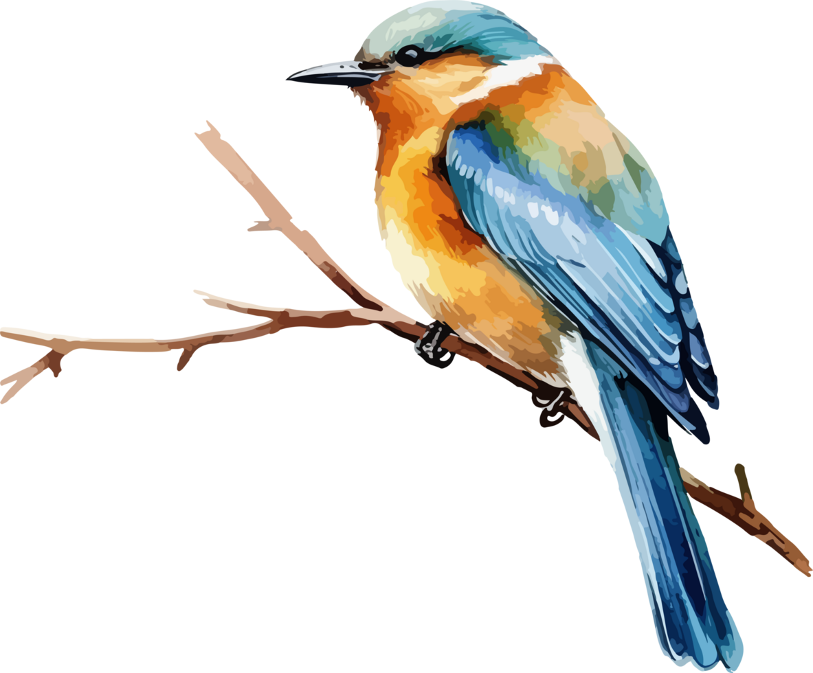 Bird on branch clipart design illustration png