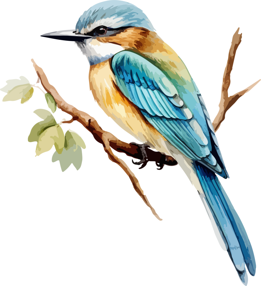 Bird on branch clipart design illustration png