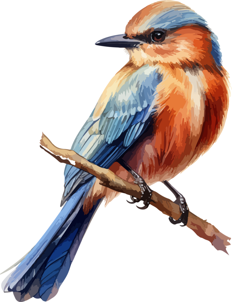 Bird on branch clipart design illustration png