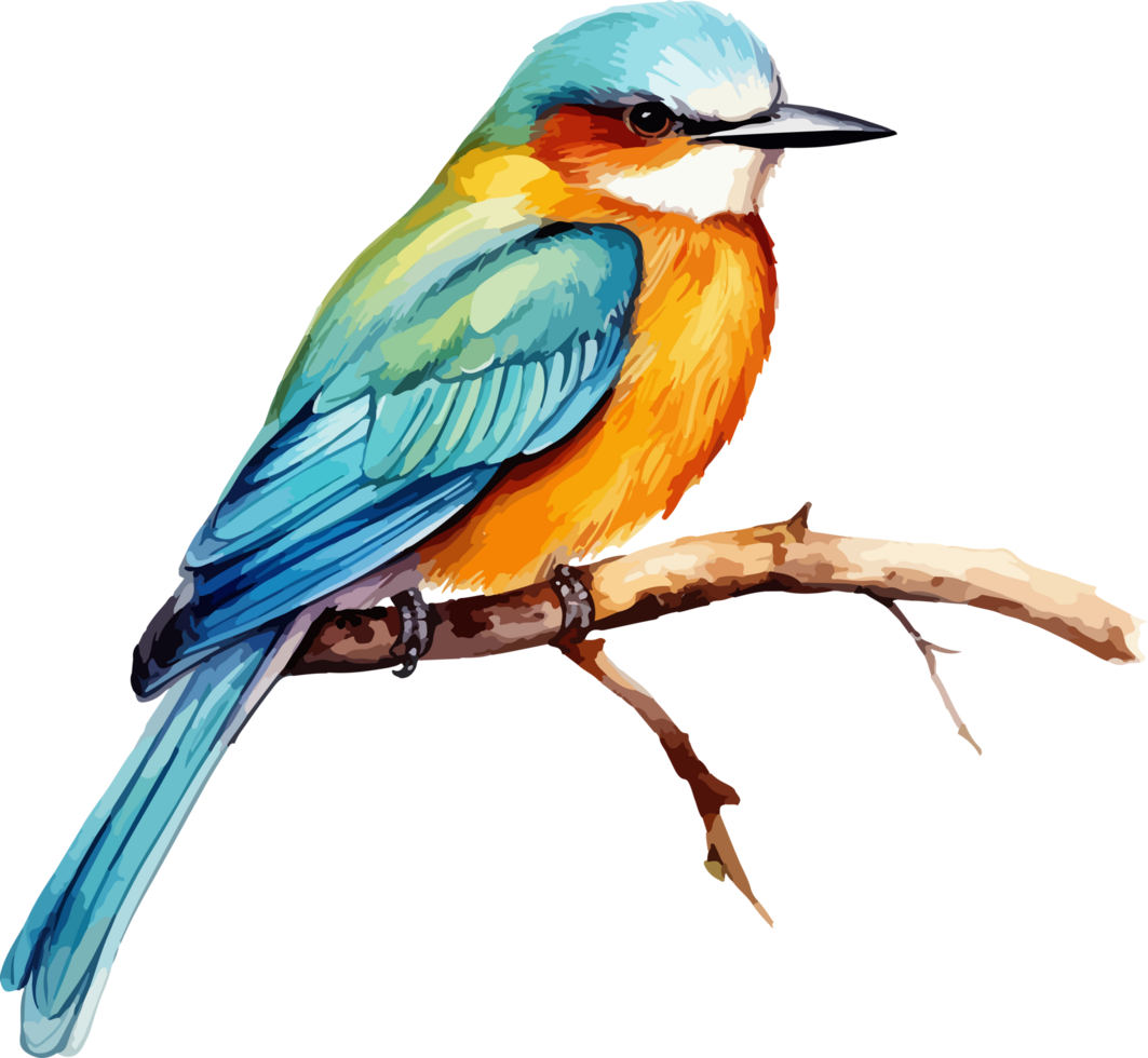 Bird on branch clipart design illustration png
