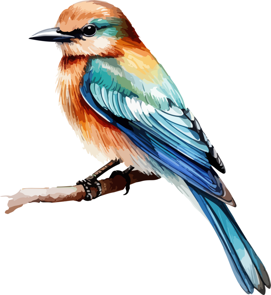 Bird on branch clipart design illustration png