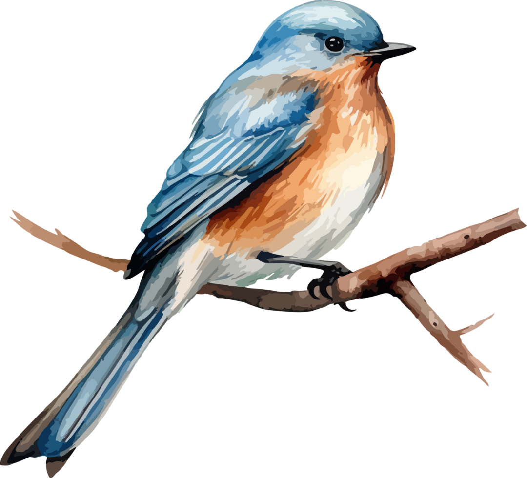 Bird on branch clipart design illustration png
