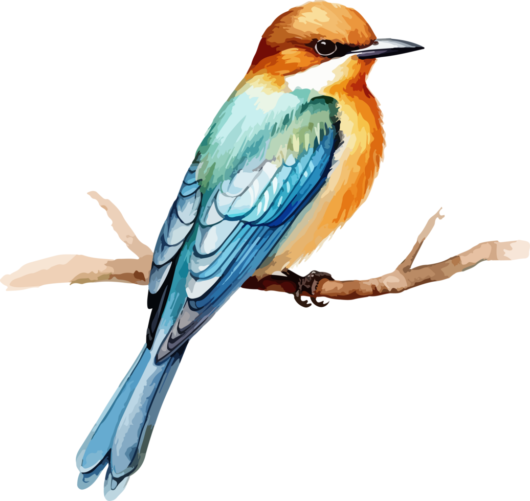 Bird on branch clipart design illustration png