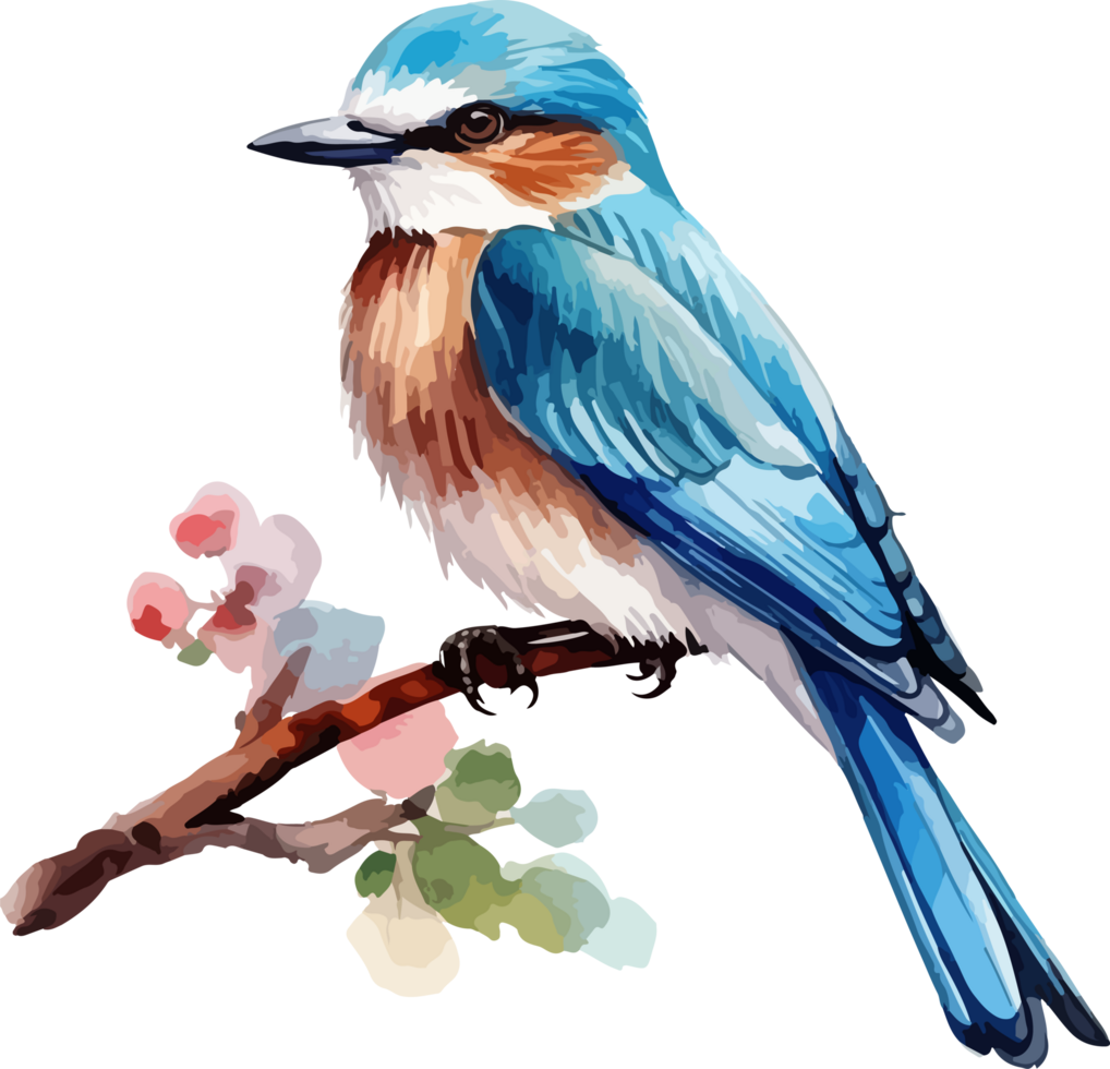 Bird on branch clipart design illustration png