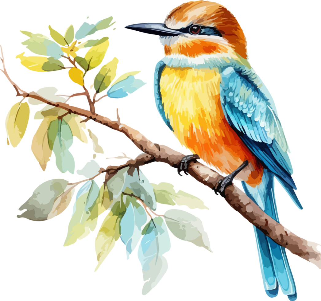 Bird on branch clipart design illustration png
