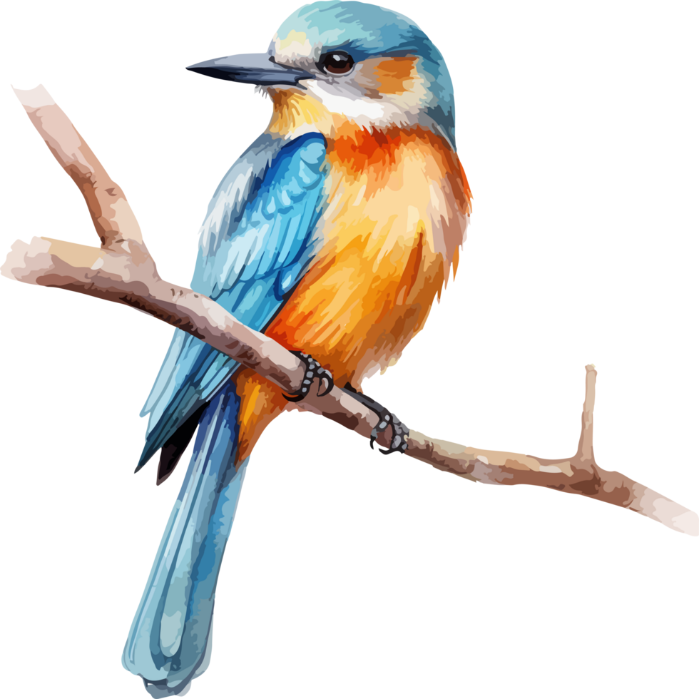 Bird on branch clipart design illustration png