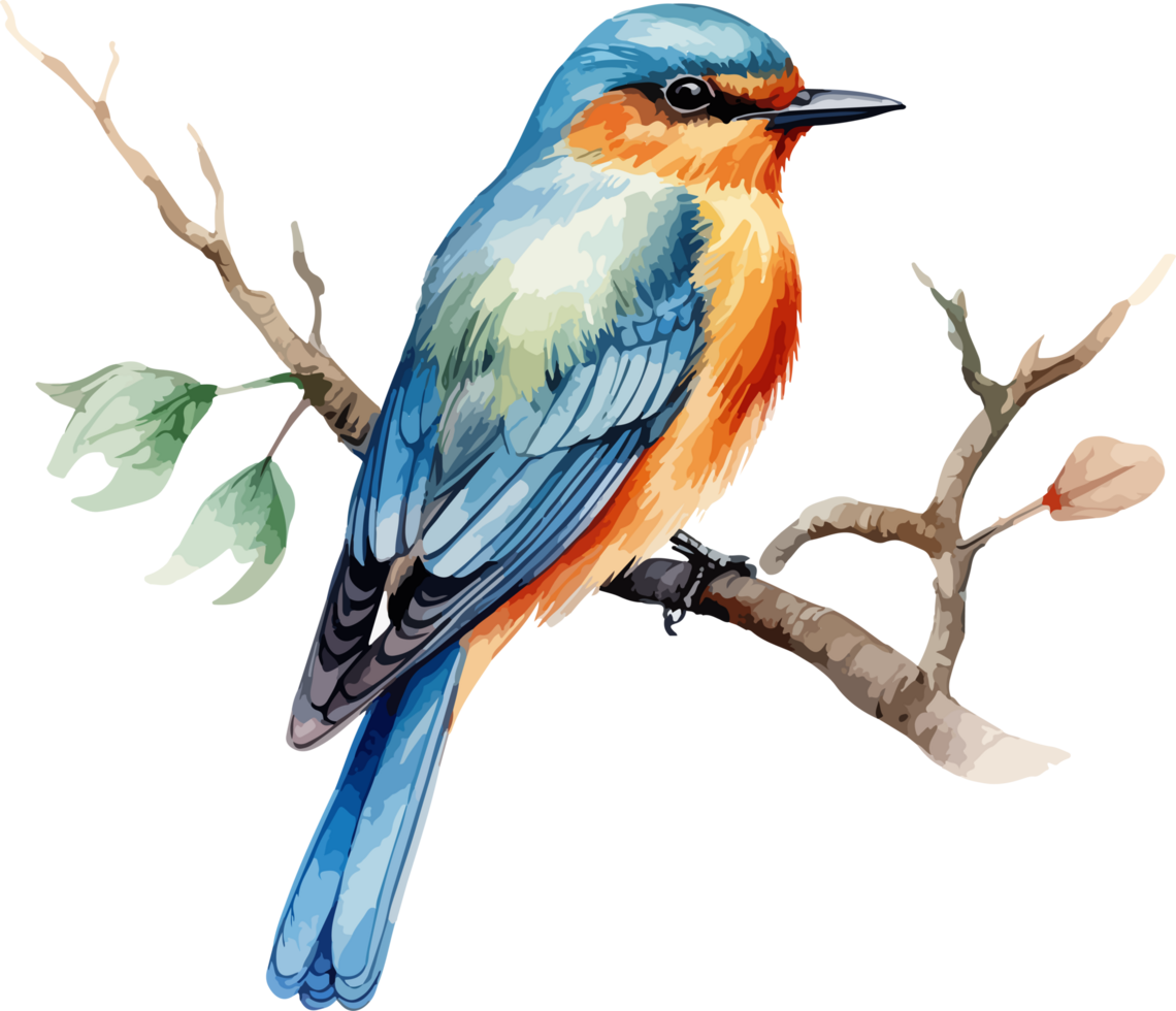 Bird on branch clipart design illustration png
