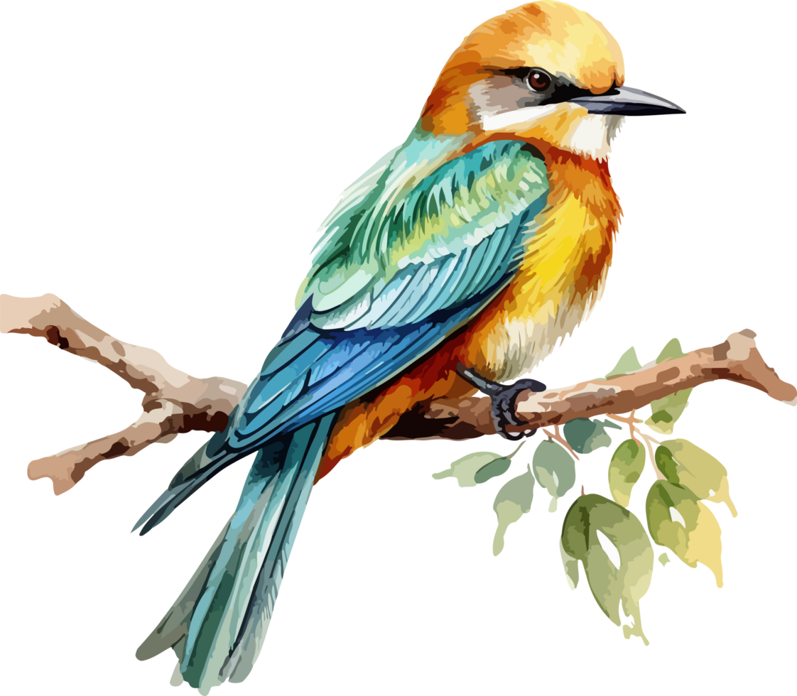 Bird on branch clipart design illustration png