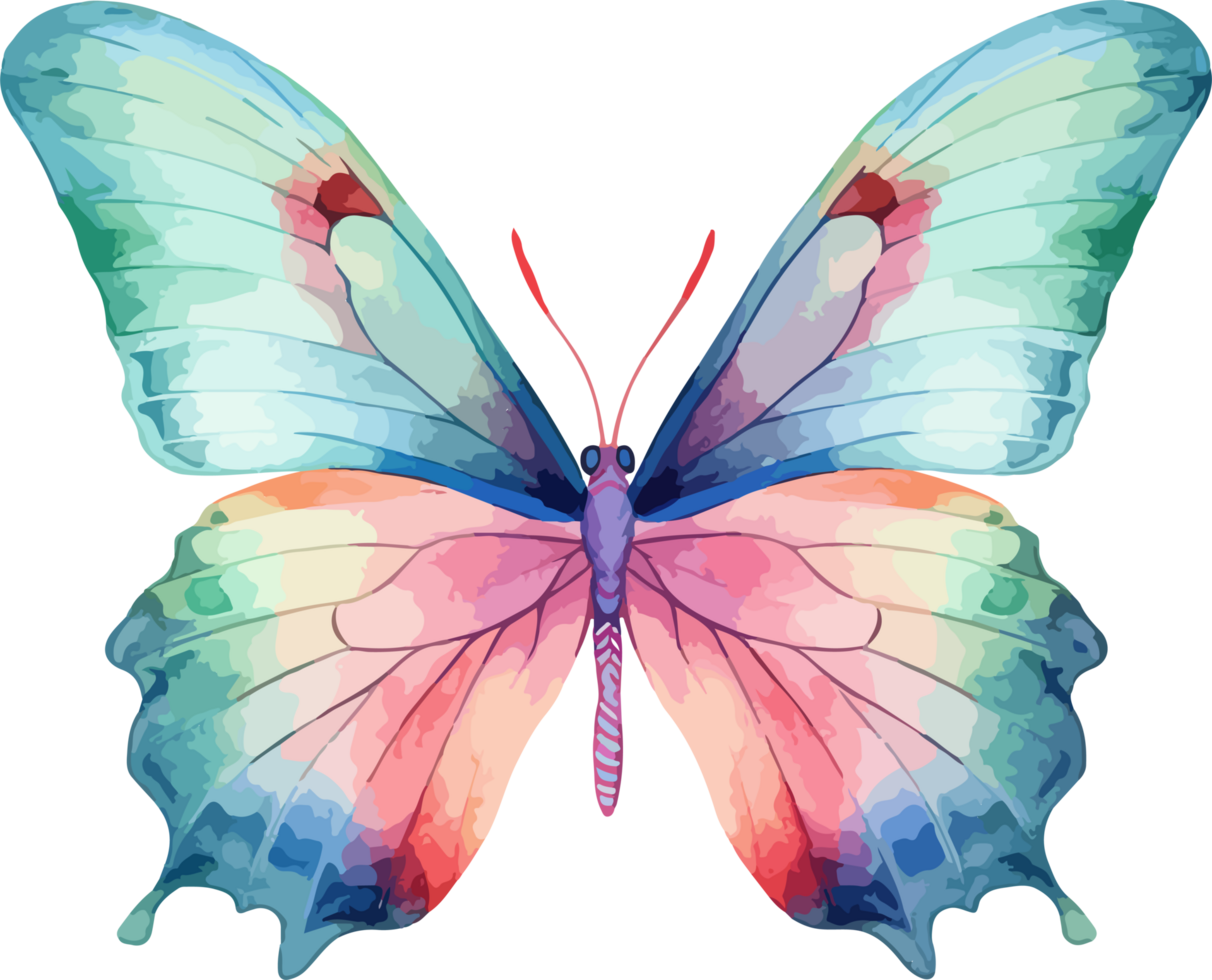 Watercolor butterfly clipart design illustration png