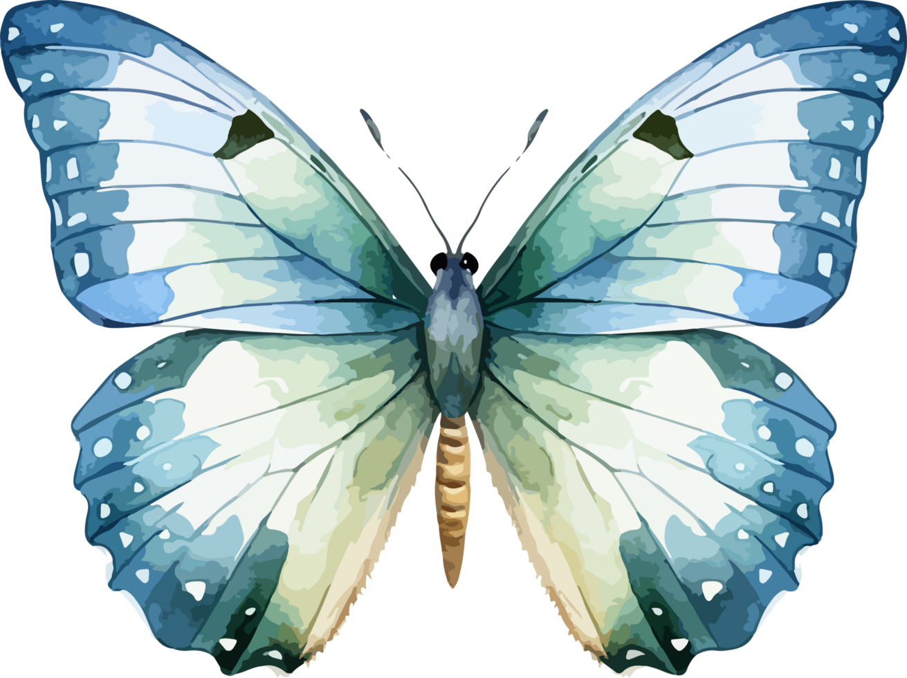 Watercolor butterfly clipart design illustration png