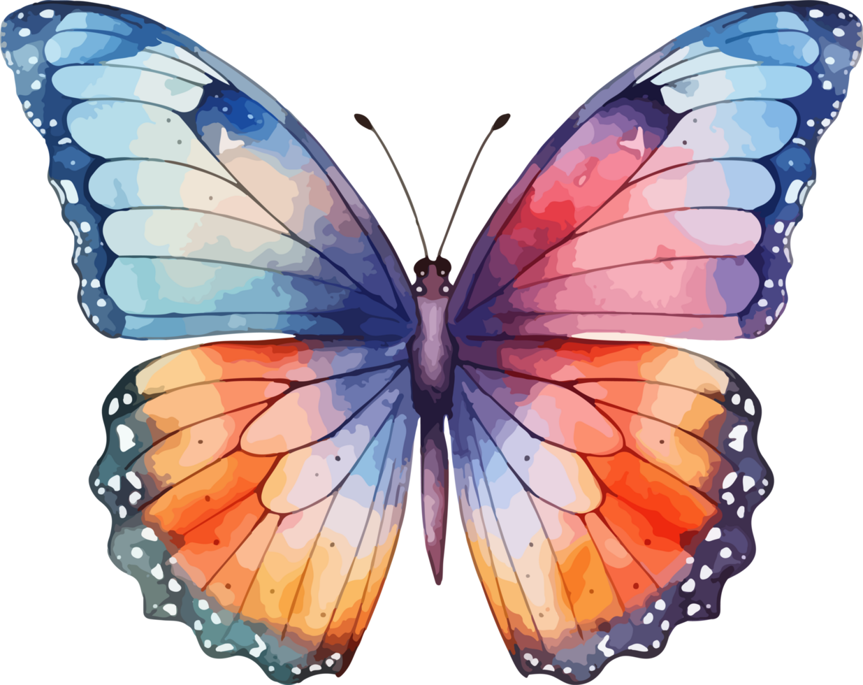 Watercolor butterfly clipart design illustration png
