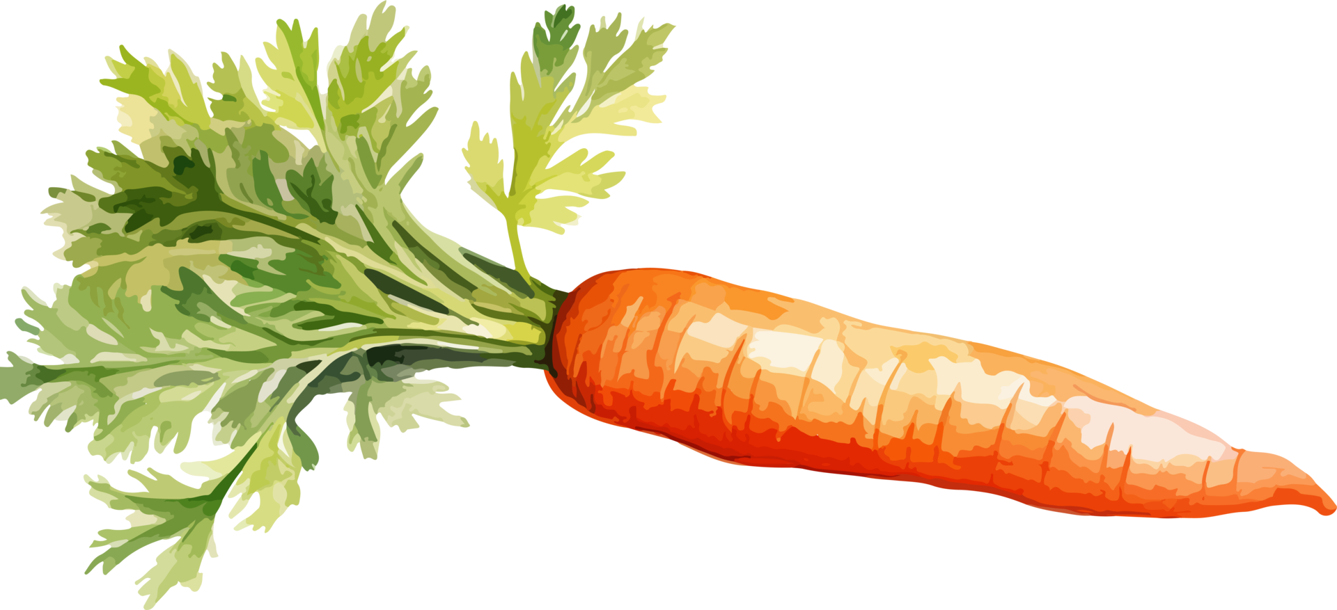 Carrot clipart design illustration png