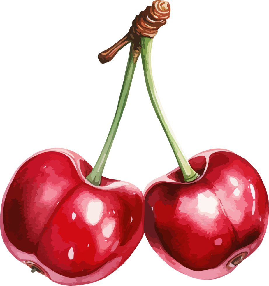 Cherry clipart design illustration png