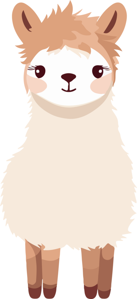 Cute lama clipart design illustration png