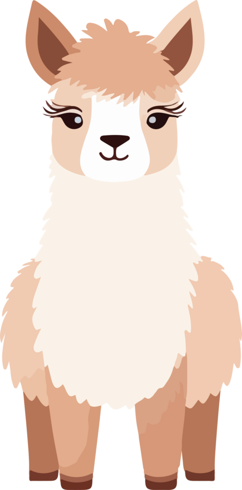 Cute lama clipart design illustration png