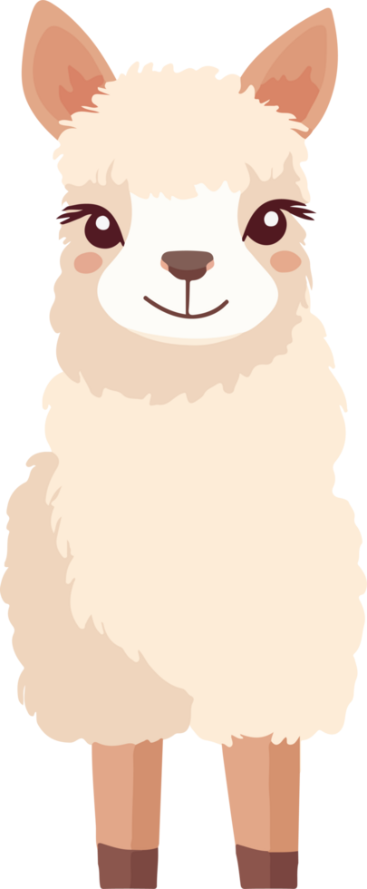 Cute lama clipart design illustration png