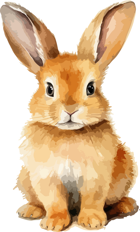Curte rabbit clipart design illustration png
