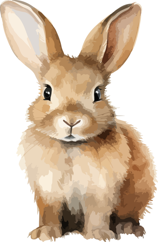 Curte rabbit clipart design illustration png