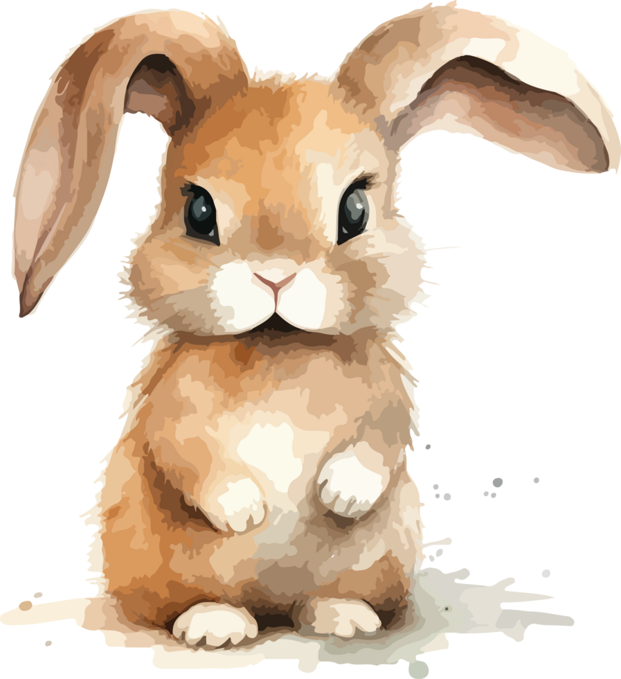 Curte rabbit clipart design illustration png