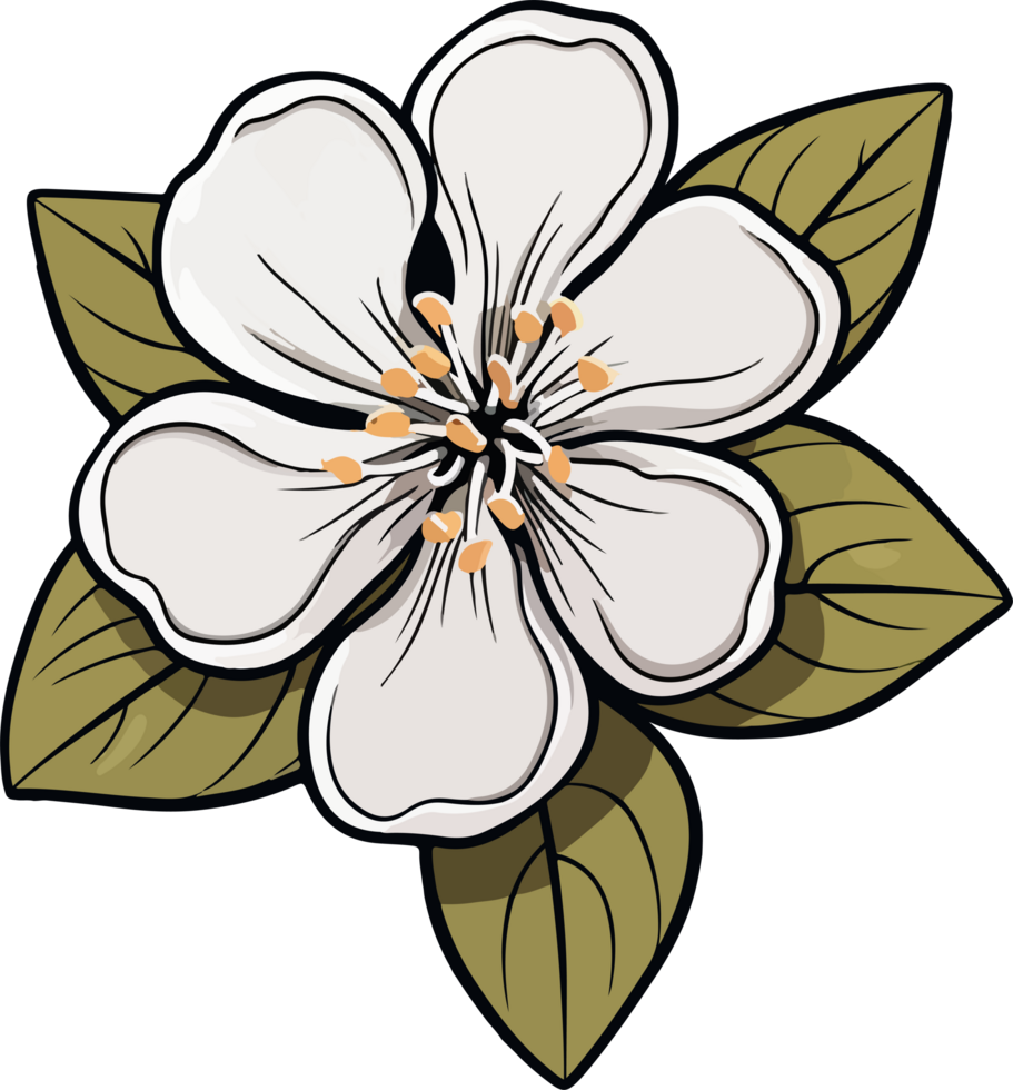 Daphne flower clipart design illustration png